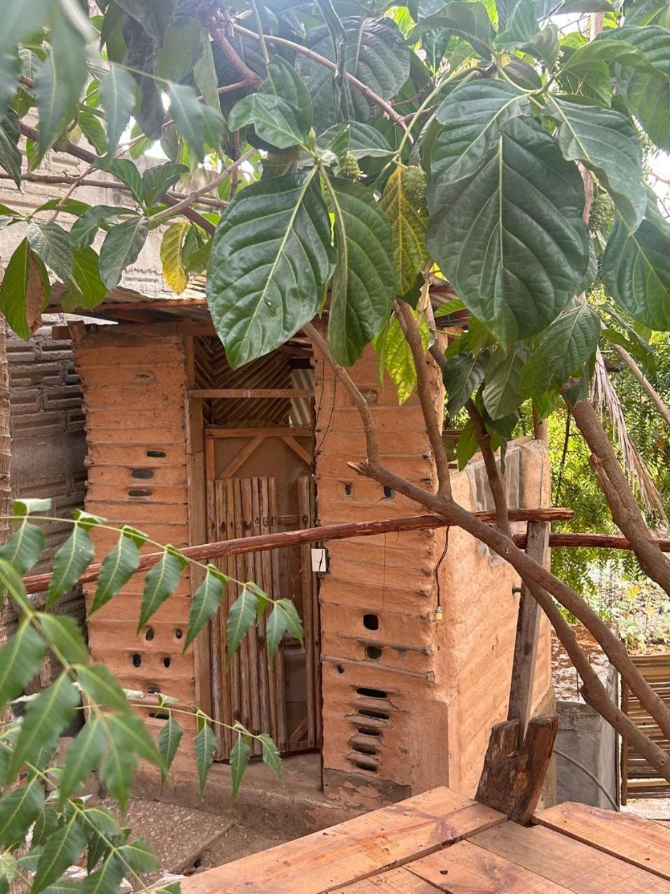 Casa De Las Brujas Hostal Zipolite Eksteriør billede